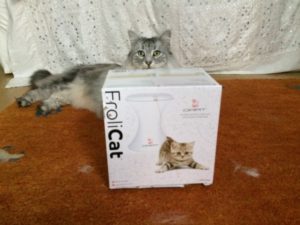 Examen du jouet Teaser pour chat FroliCat 