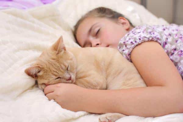 Est-ce mal de dormir avec des chats ?