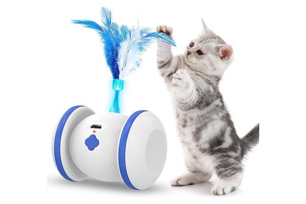 Meilleurs jouets interactifs pour chat - Plumes interactives