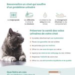 comment-preserver-la-sante-urinaire-de-votre-chat-grace-a-une-alimentation-saine