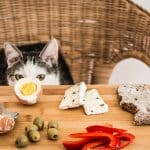 comment-savoir-si-la-nourriture-de-votre-chat-peut-avoir-un-impact-sur-sa-sante