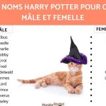 les-noms-magiques-des-sorcieres-pour-votre-chat