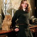 comment-s-appelle-le-chat-d-hermione